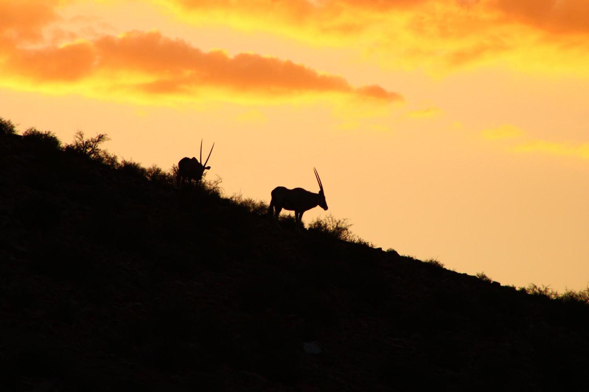 Bosch Luys Kloof Nature Reserve Ladismith Eksteriør bilde