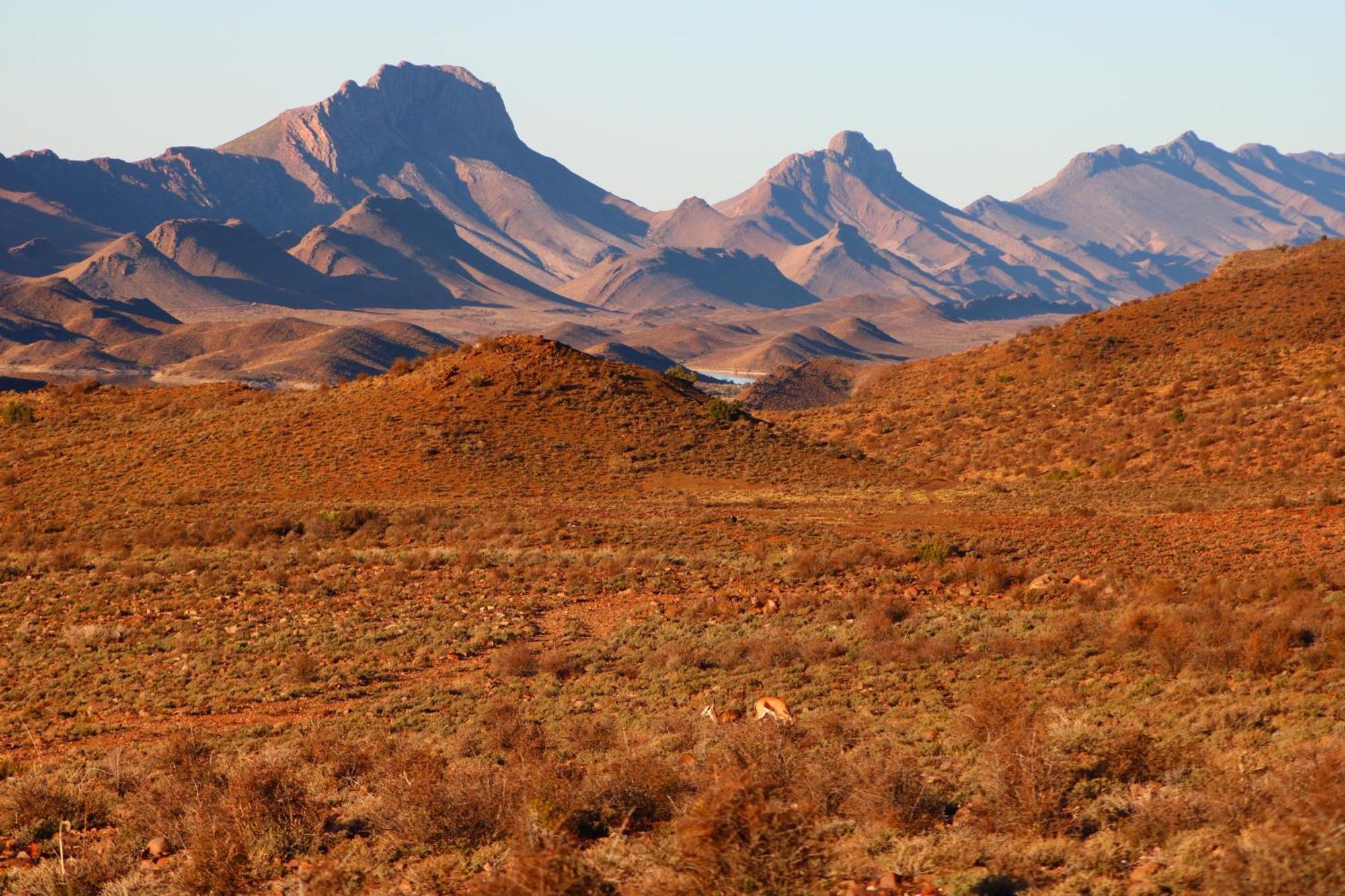 Bosch Luys Kloof Nature Reserve Ladismith Eksteriør bilde